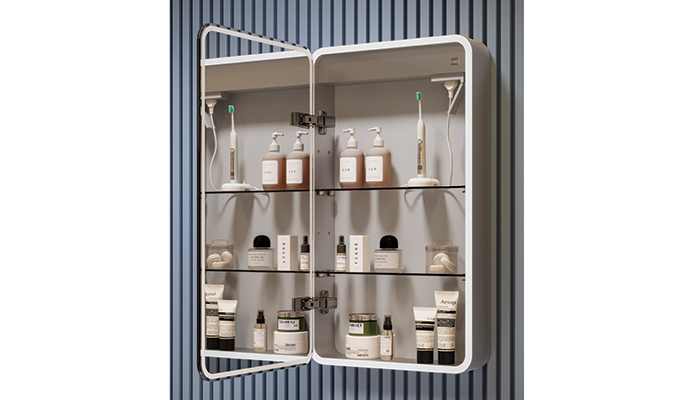 A mirrored cabinet from the Cayla collection