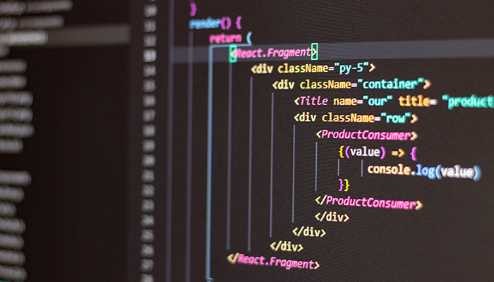 Expert view: 4 developer terms every website owner should know