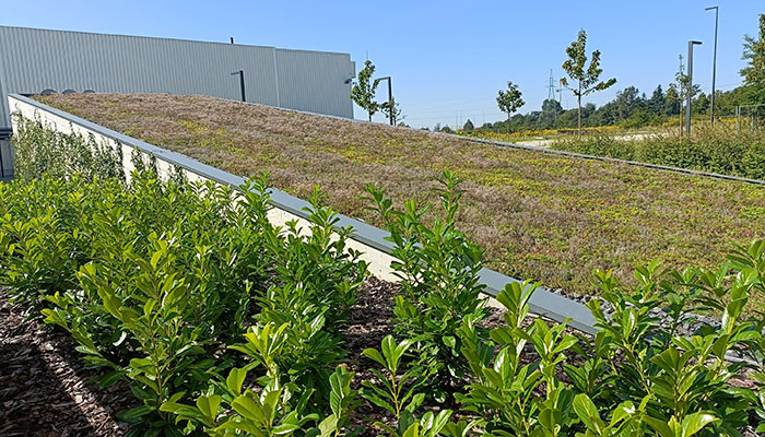 Green roofs are just part of our sustainable infrastructure, says Blum