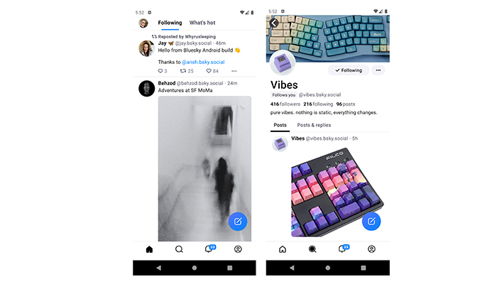 Bluesky’s interface has a Twitter-like look